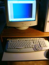 Computers have immune systems