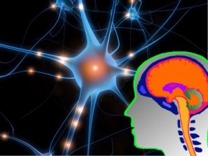 neuron closeup and head brain illustration