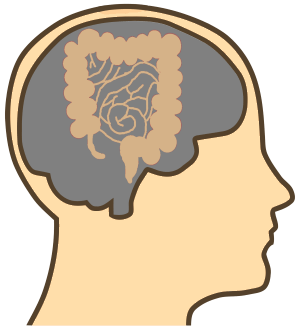 Head-Brain-Gut-Brain